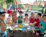 img (10)